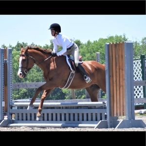 Meet your Posher, Rachel